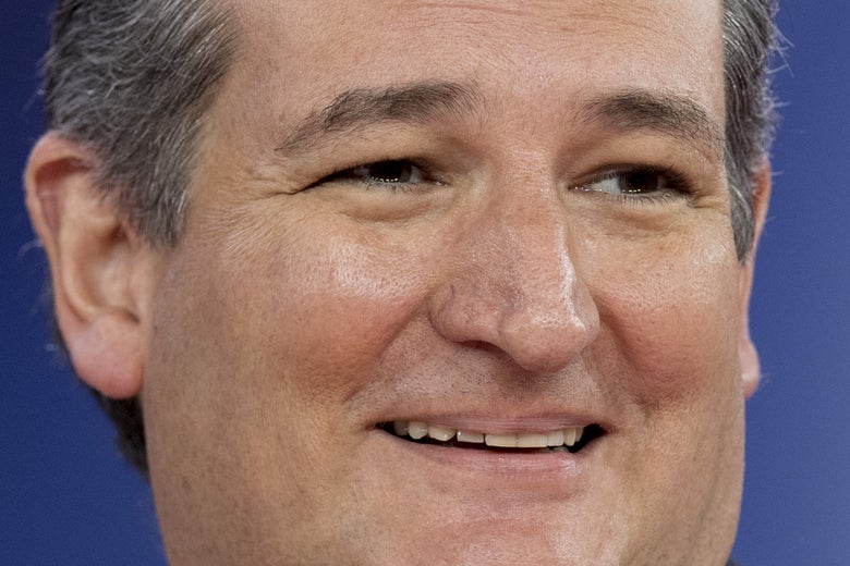 US Senator Ted Cruz